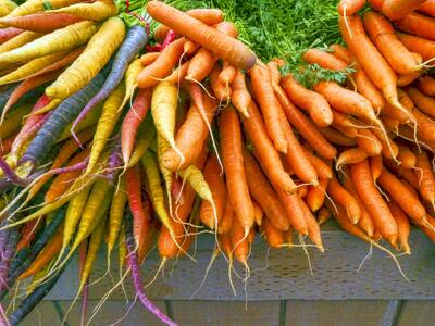 Types of carrots